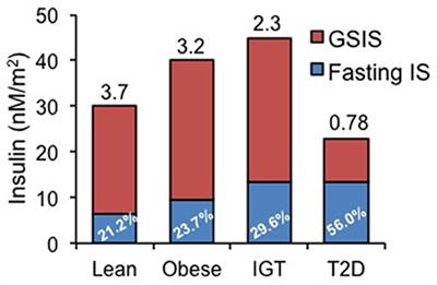 β-Cell Failure or β-Cell Abuse?